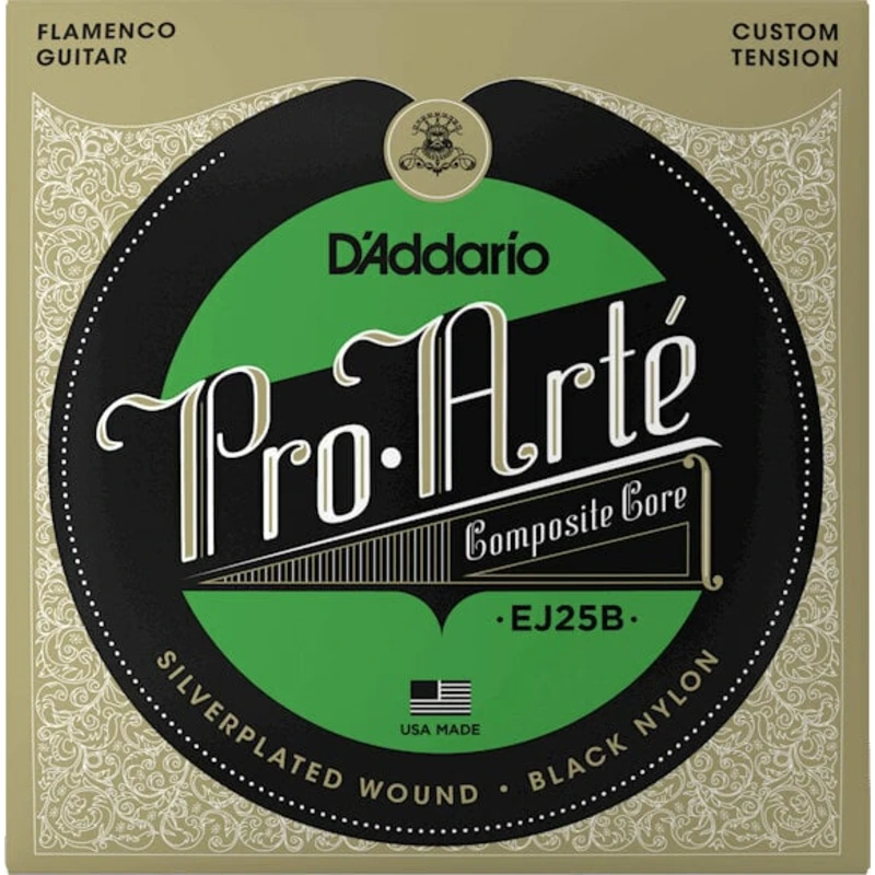 D'Addario EJ25B