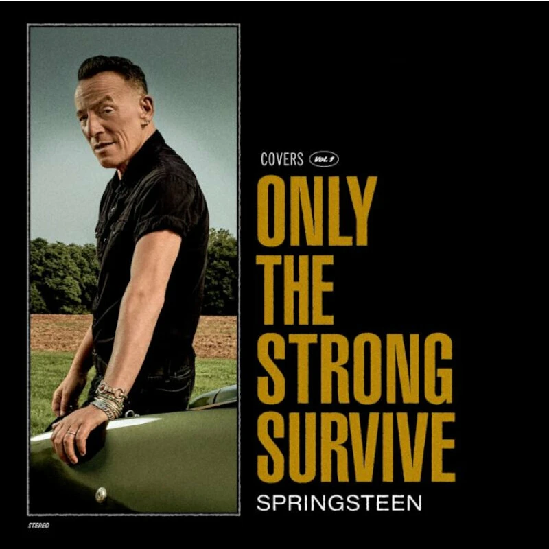 Bruce Springsteen - Only The Strong Survive (Gatefold) (Poster) (Etched) (2 LP)