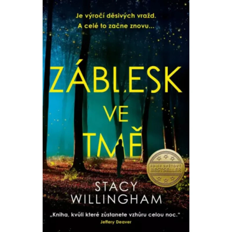 Záblesk ve tmě - Stacy Willingham