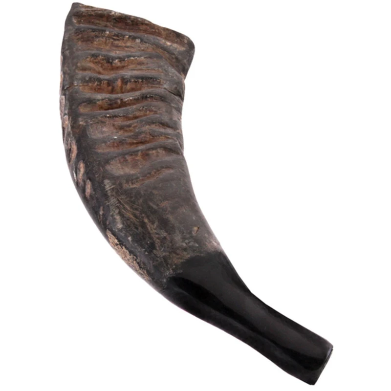 Terre Buffalo Horn