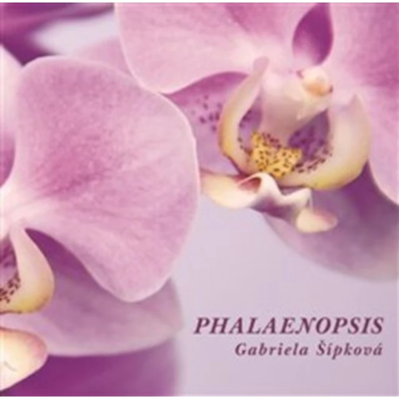 Phalaenopsis - Gabriela Šípková