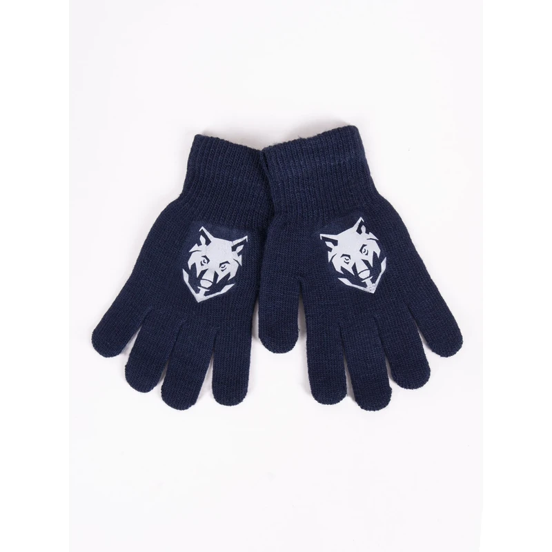 Yoclub Kids's Boys' Five-Finger Gloves With Reflector RED-0237C-AA50-005 Navy Blue