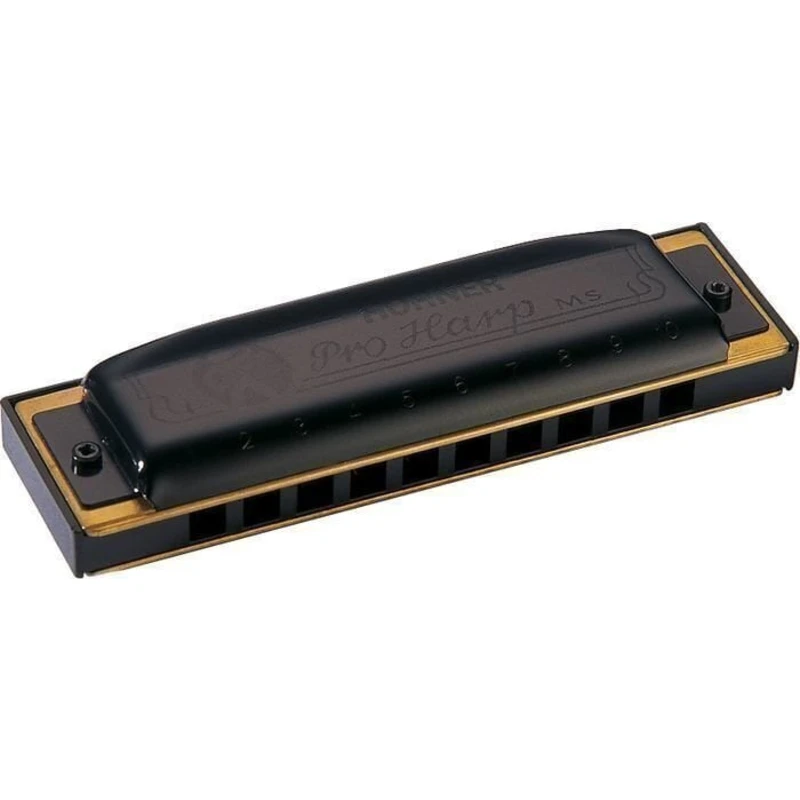 Hohner Pro Harp MS D Diatonická ústní harmonika