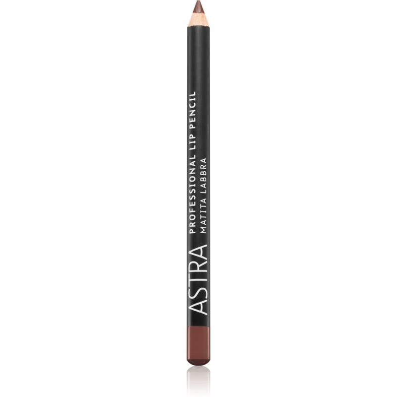 Astra Make-up Professional Lip Pencil konturovací tužka na rty odstín 41 Wood 1,1 g