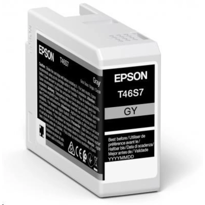 Epson Singlepack Gray T46S7 Ultrachrome