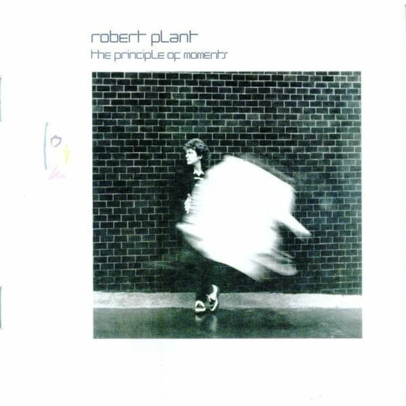 Robert Plant The Principle of Moments Hudební CD