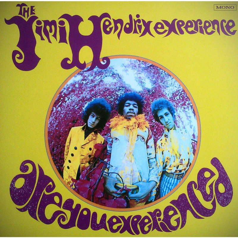 The Jimi Hendrix Experience - Are You Experienced (LP)