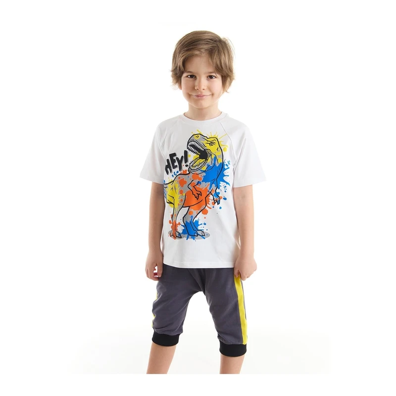 Mushi Dinosaur Splash Boys White T-shirt Gray Capri Shorts Set