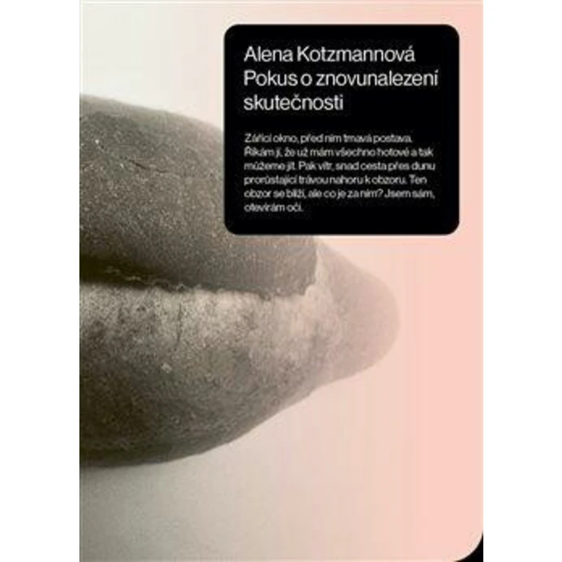 Pokus o znovunalezení skutečnosti - Alena Kotzmannová